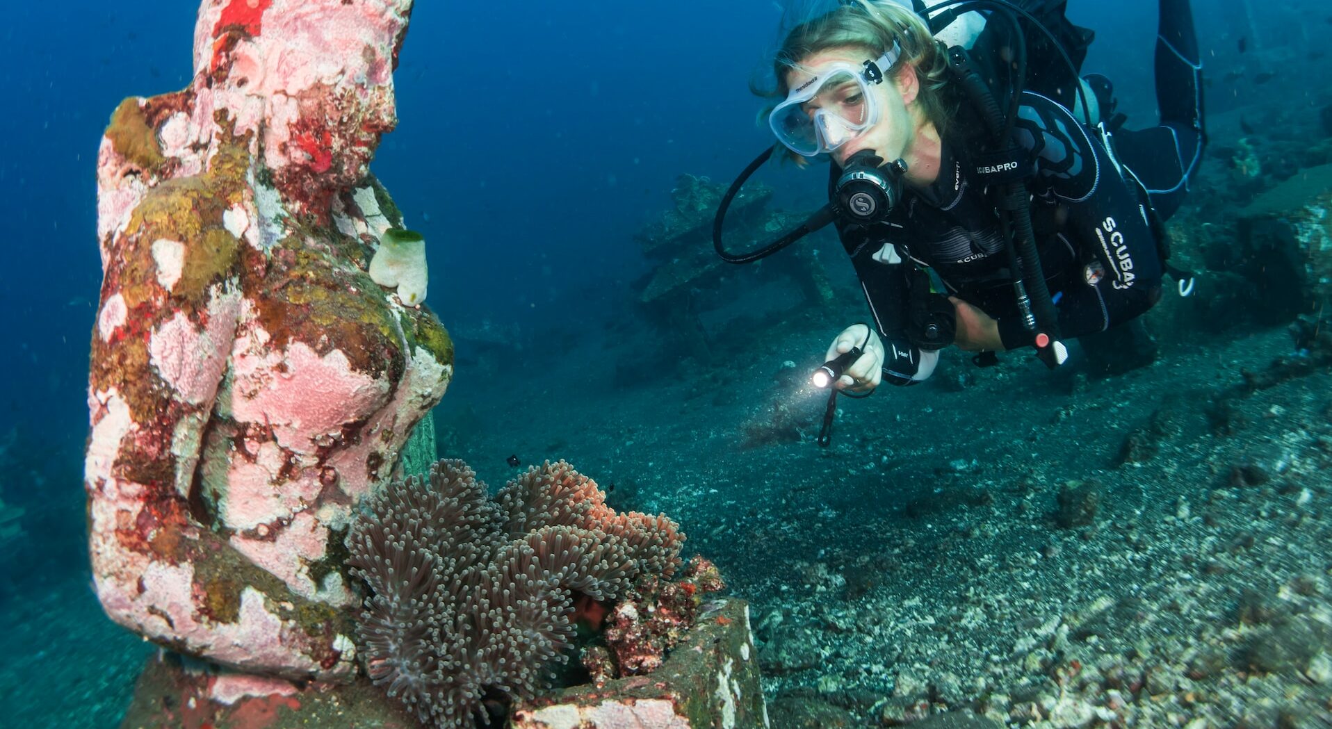 Does PADI Certifications Expire? Insights and Refresher Courses WikiDive